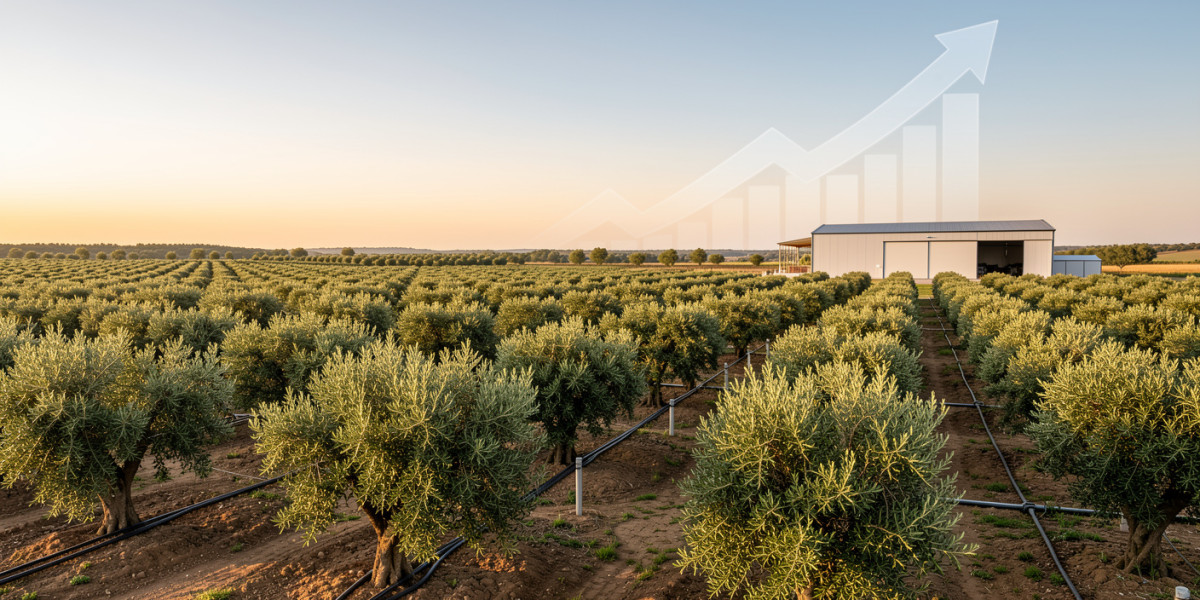 Recherche Partenaire dans le Secteur Oléicole à Marrakech